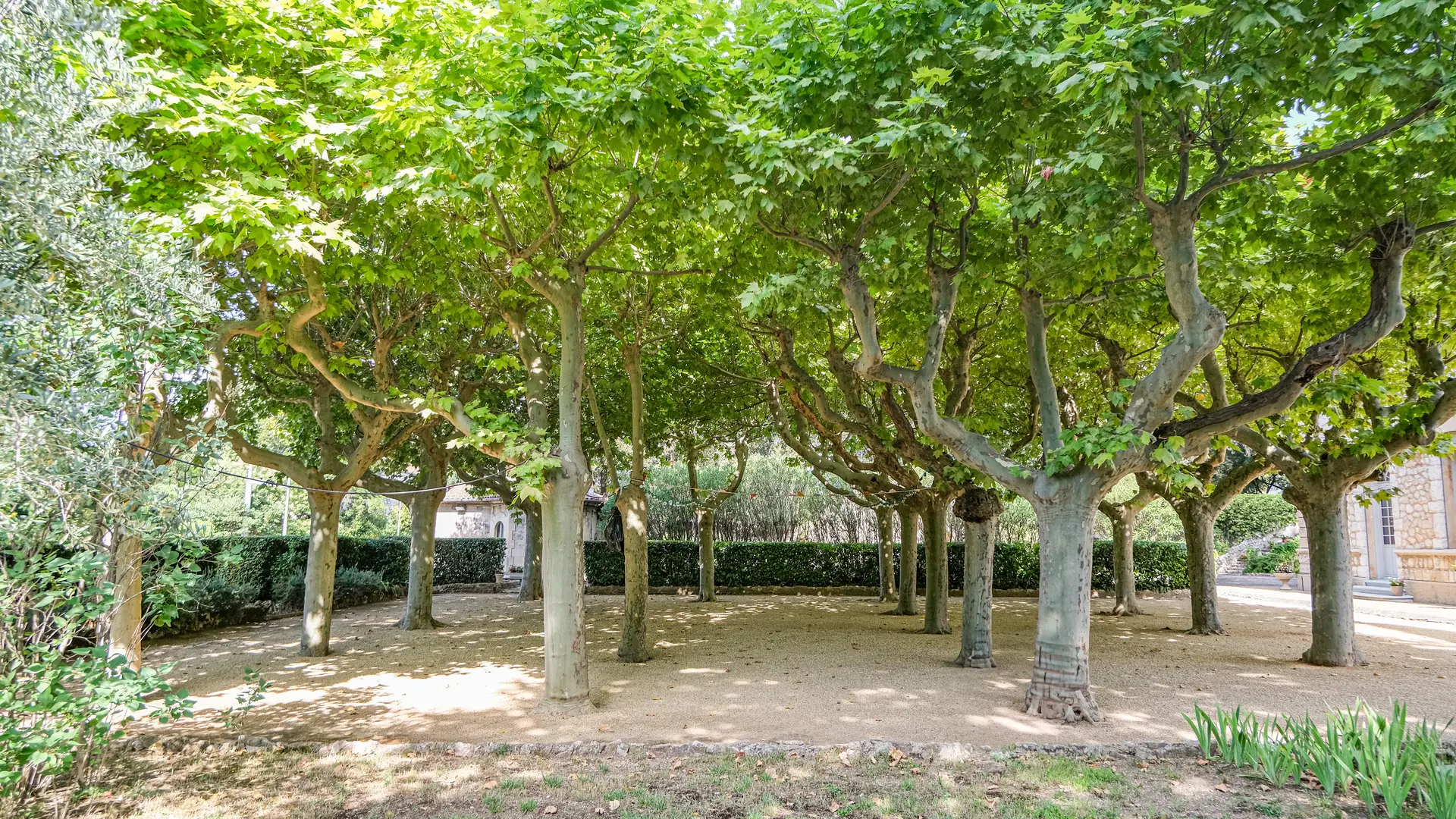 VILLA DES CHARDONS - RECTORAT