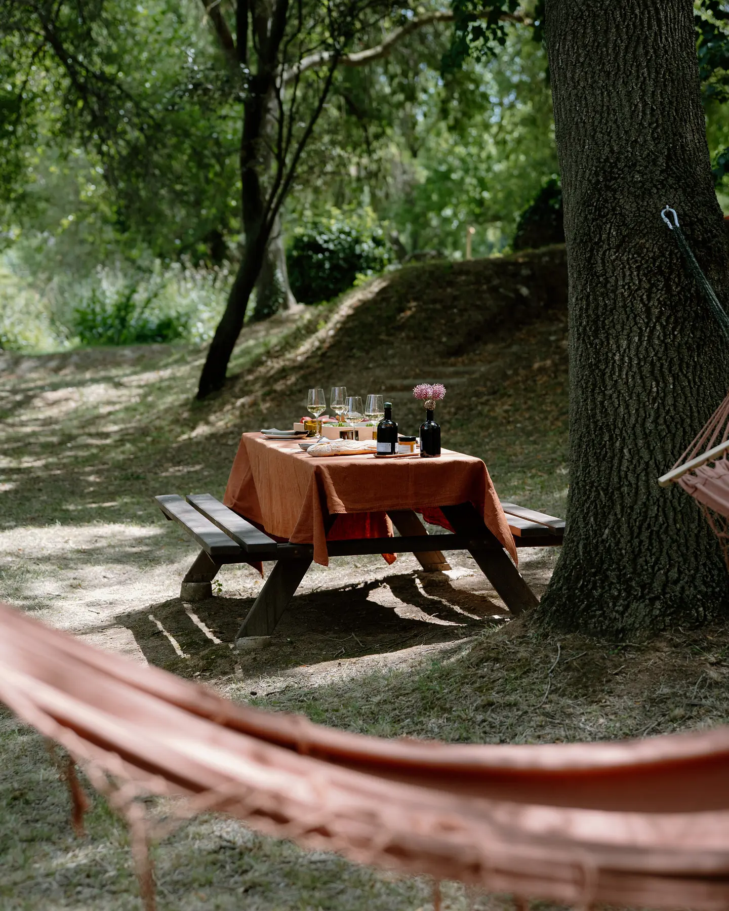 Domaine de la Dourbie