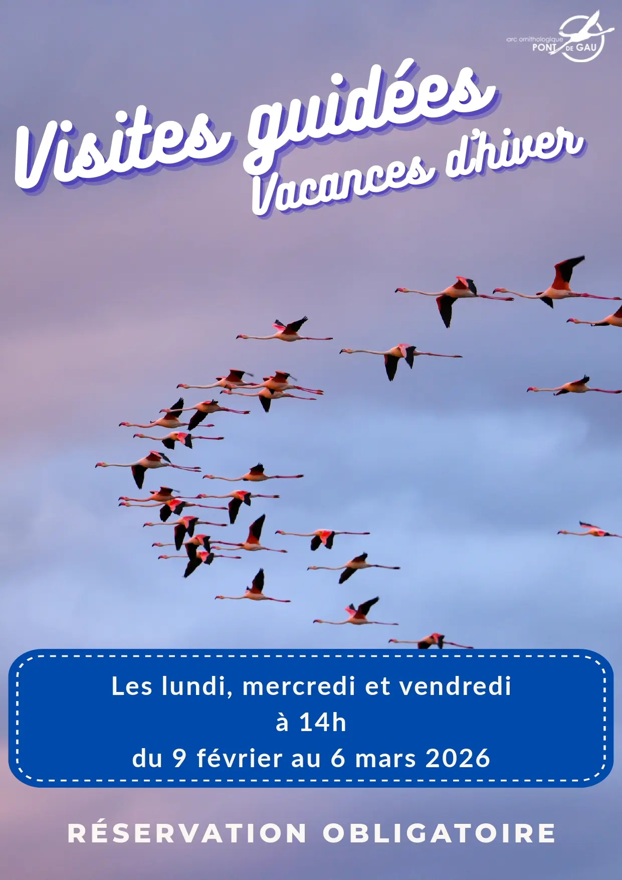 En hiver bat le coeur des flamants (2)_page-0001