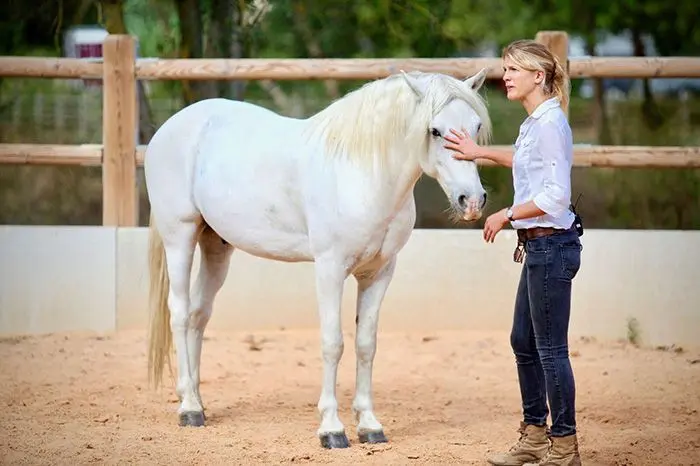 Equicoaching - domaine de Biar