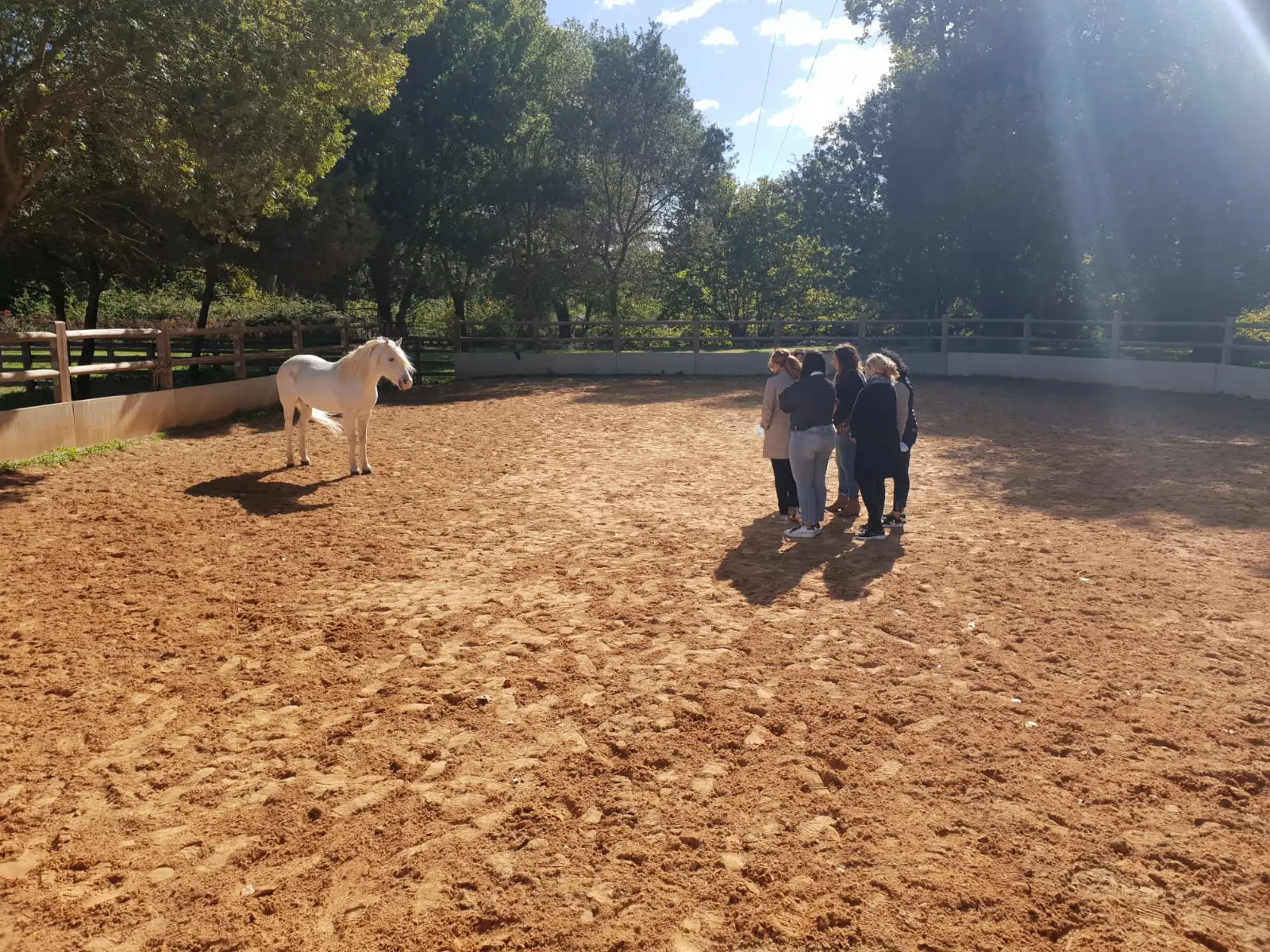 Equicoaching 1