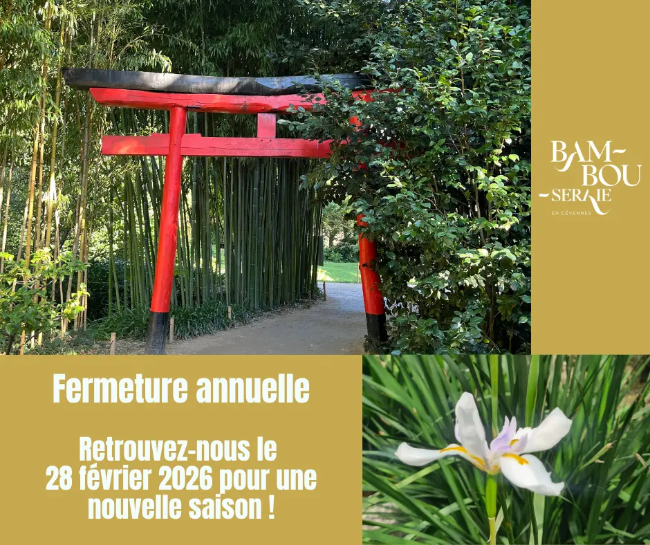 Fermeture annuelle