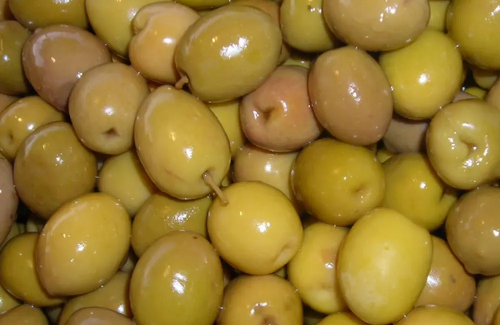 Fête de l'olive1