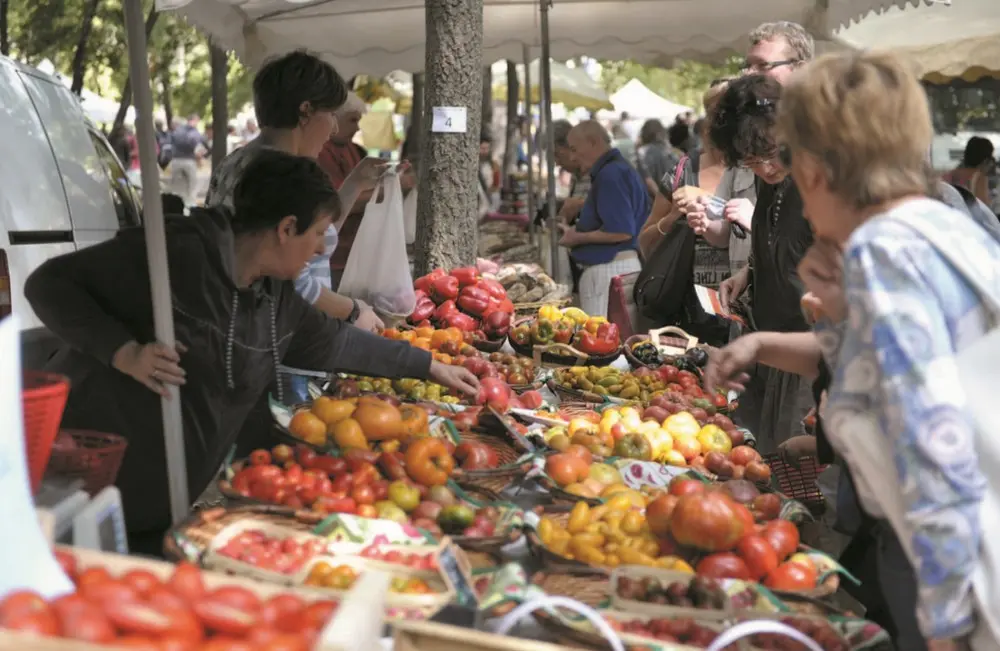 Fête de la tomate