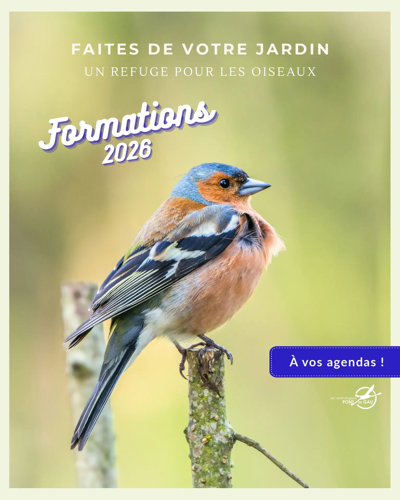 Formation Communication n°6_page-0001