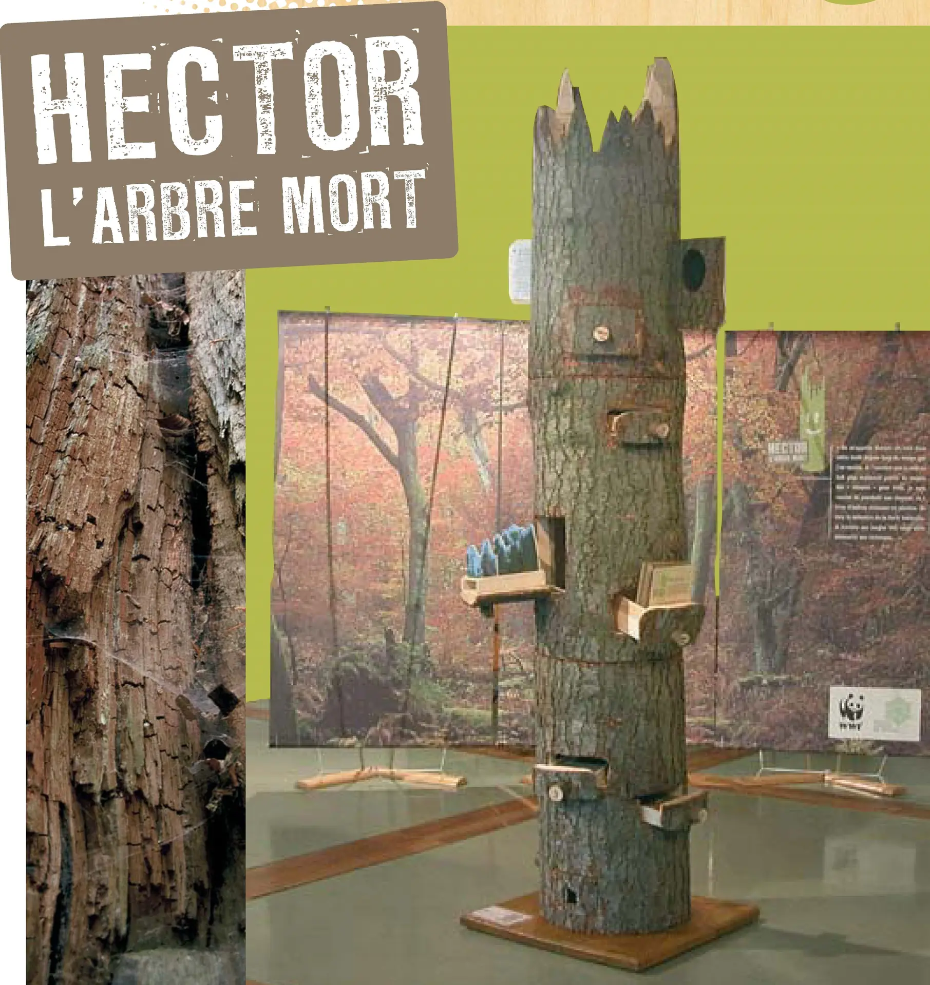 Hectorarbremort@cd34