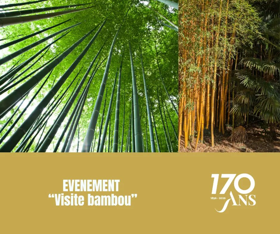 PROJETS EQUIPES 2026+event - 8