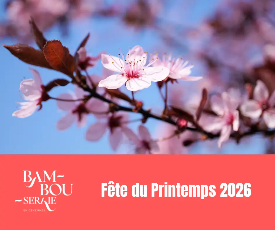 ATELIERS 2026 - 4