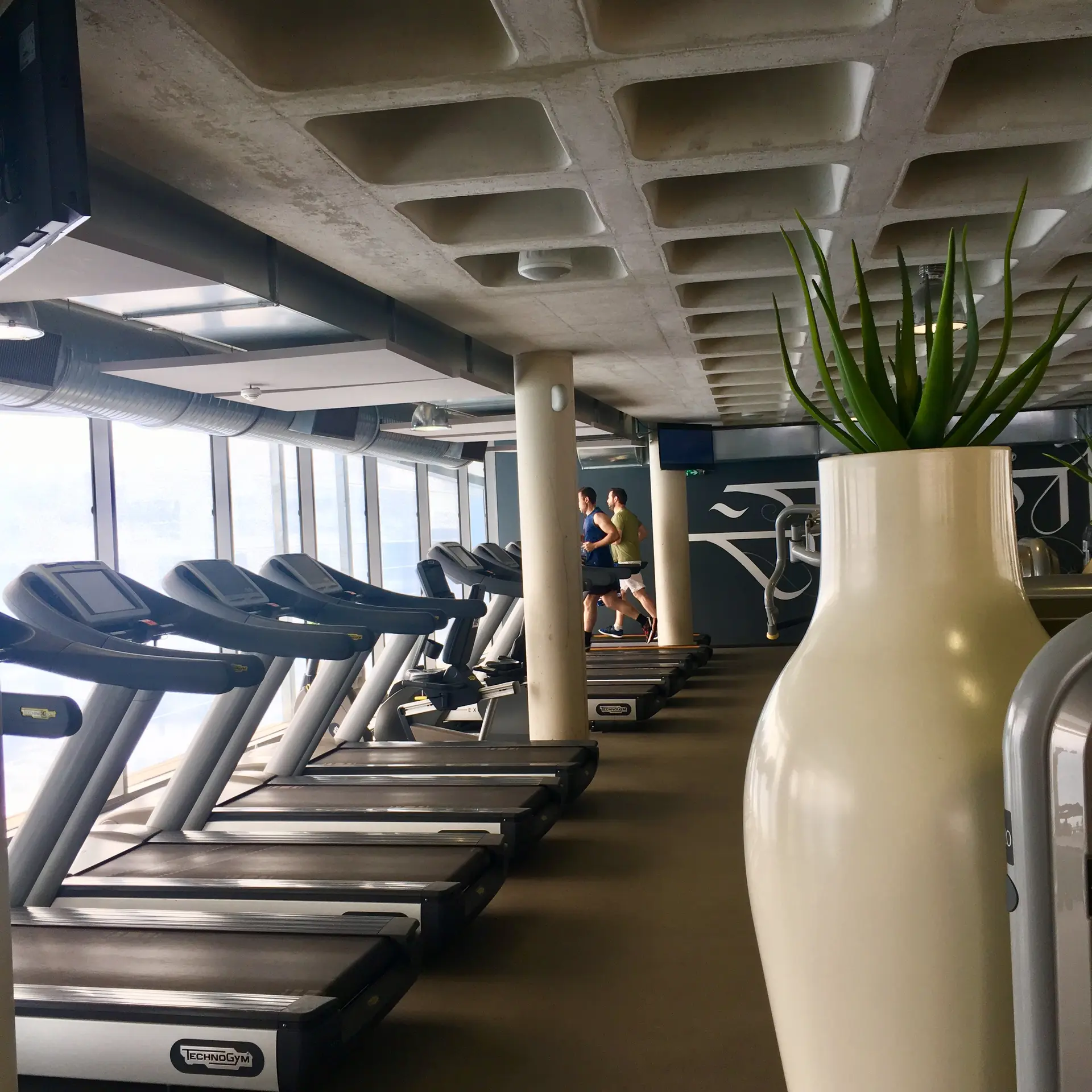 SALLE CARDIO MUSCU