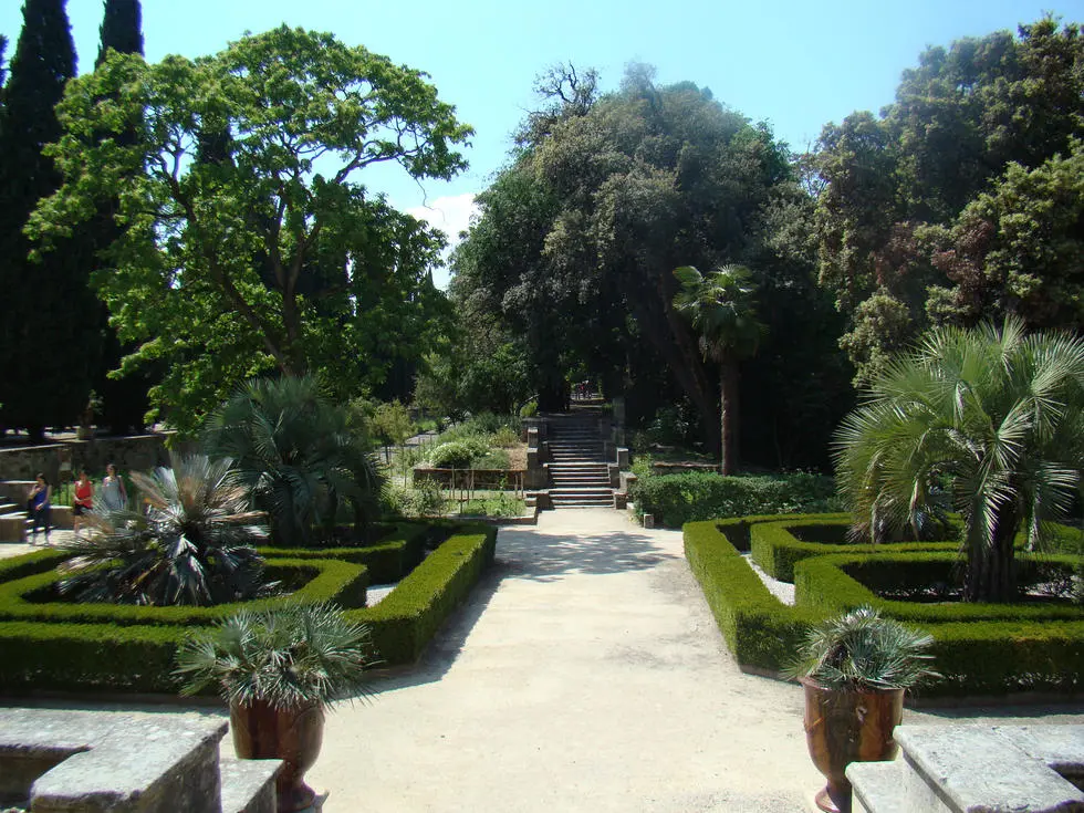Jardin des plantes
