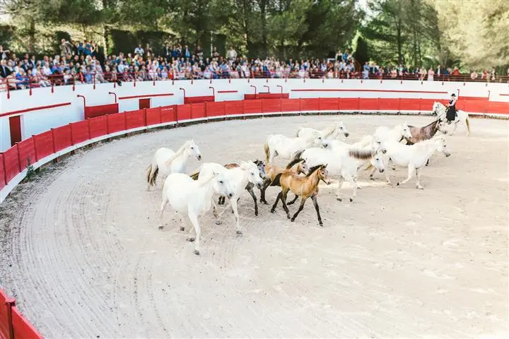 MASSAINTGABRIEL-OTM-TSF-91