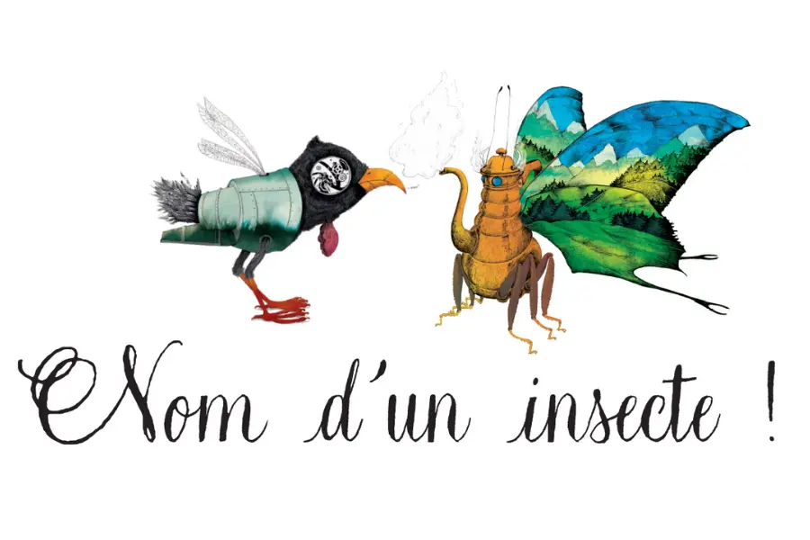Nom d'un insecte ! - 3
