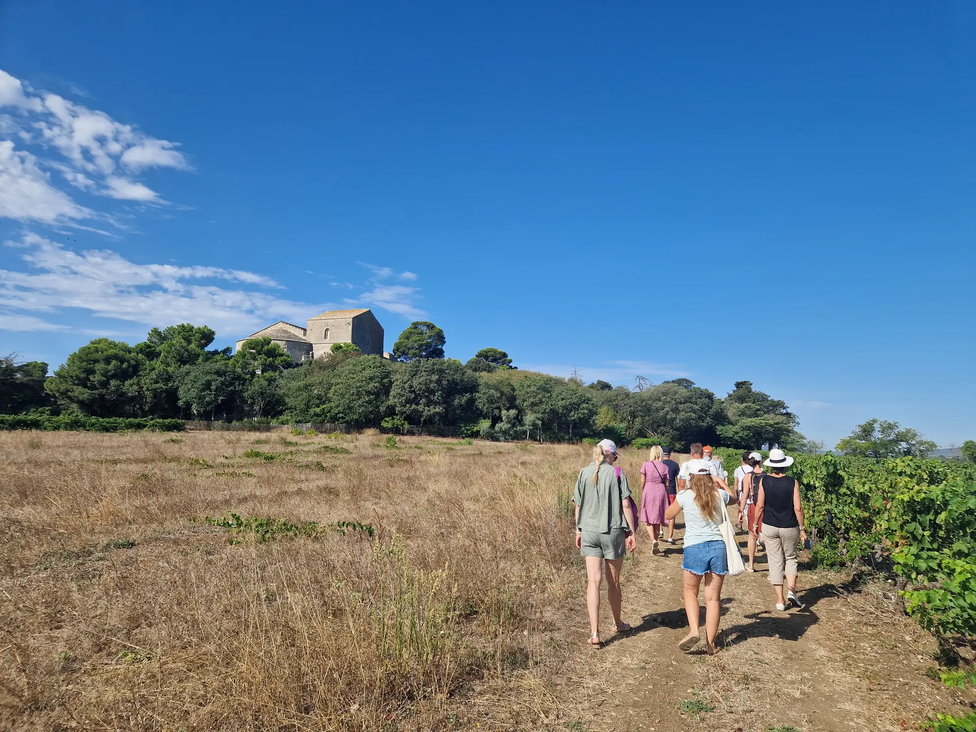 Oenotourisme Maguelone