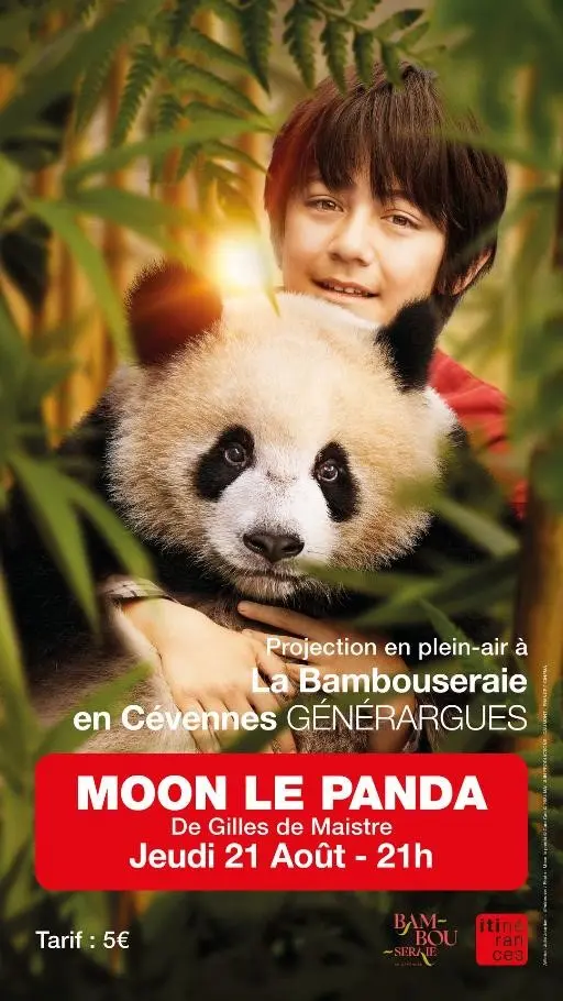 Moon le Panda