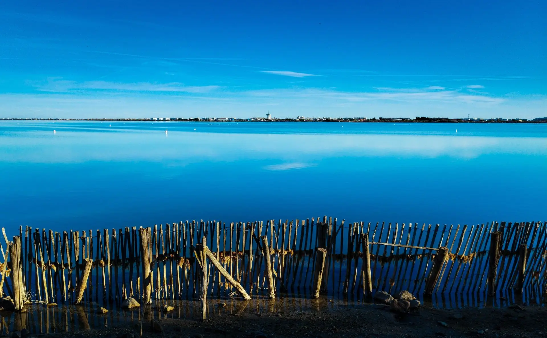 Reserve_Naturelle_du_Mejean_-_EXCLUSIF_ADT34_E_Brendle_1