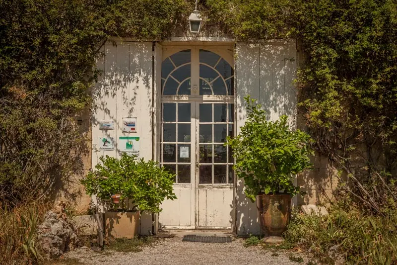 Saint Jean de l'Arbousier-Castries_11
