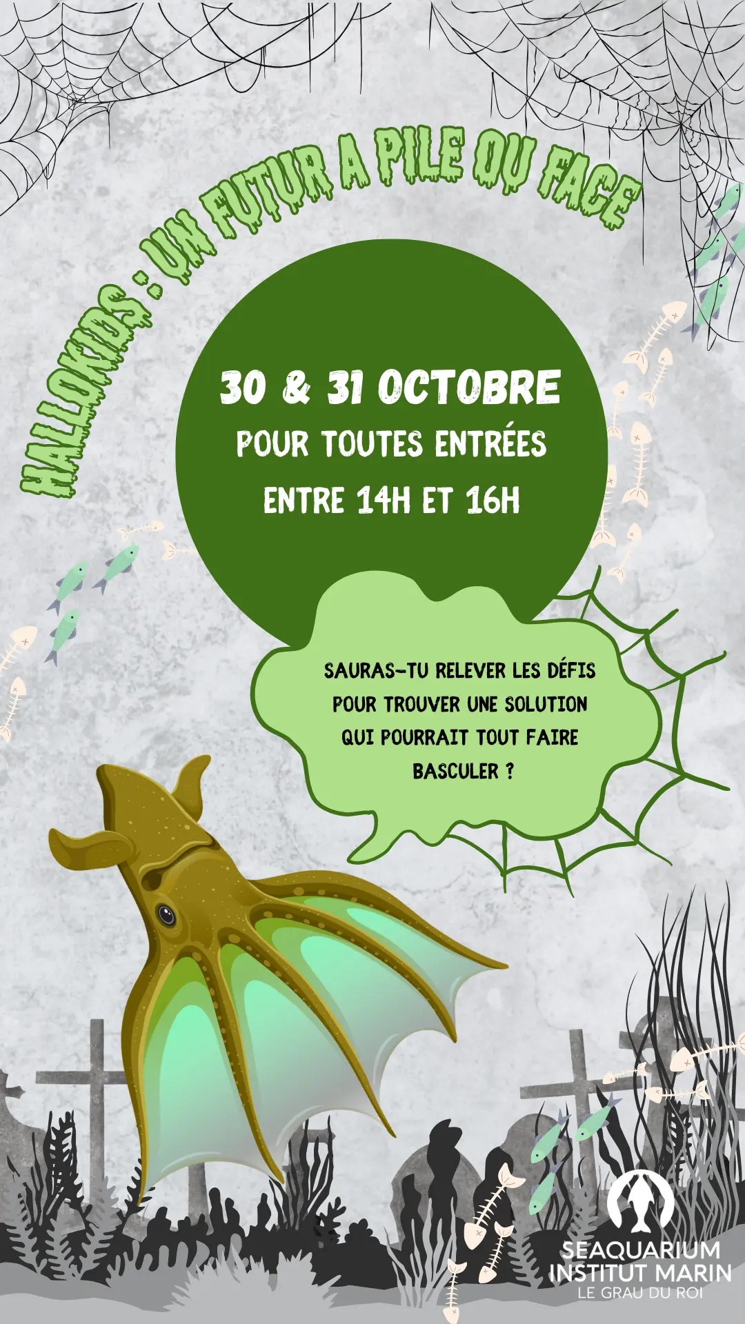 Copie de Story - Hallokids 2024 - 1