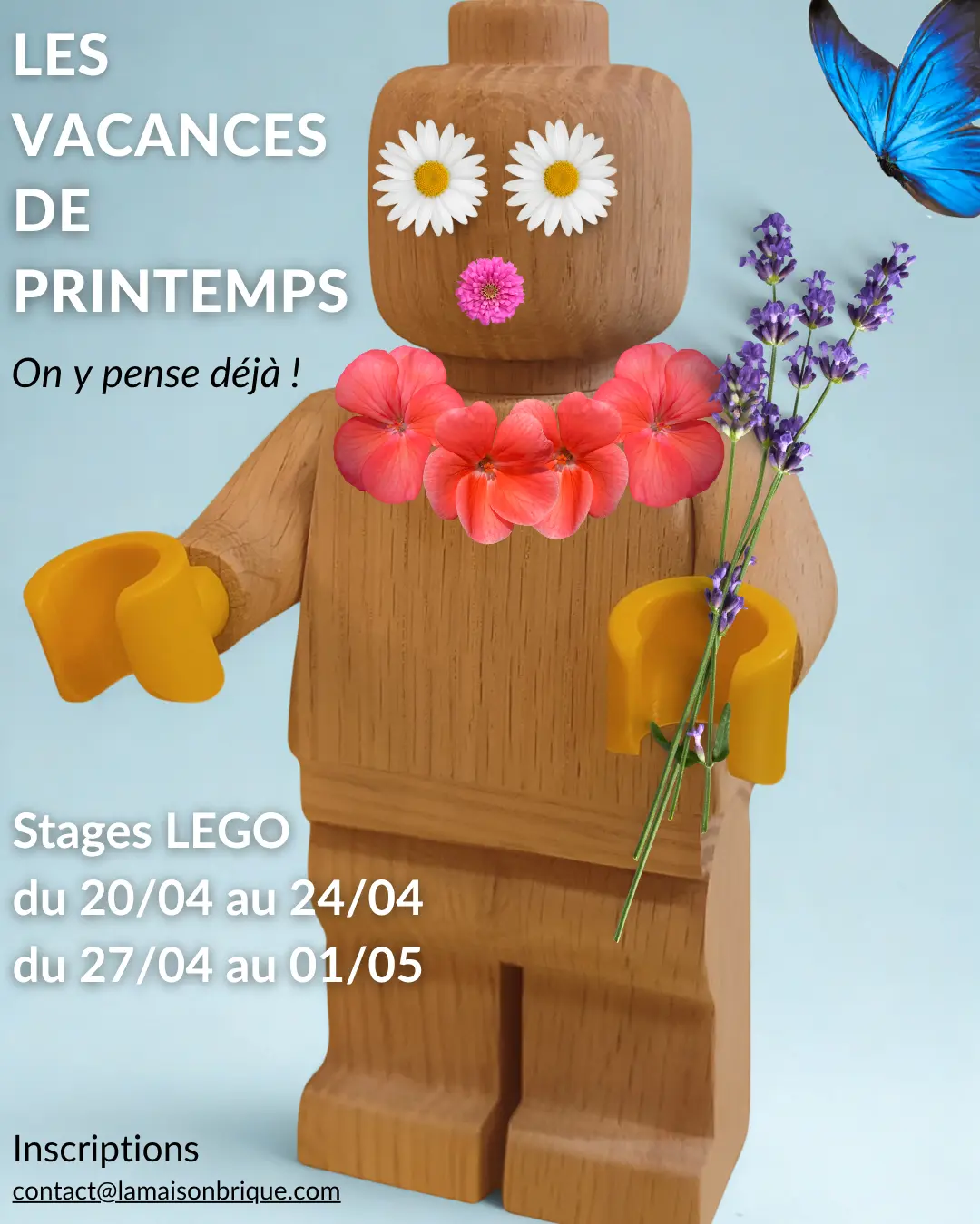 Sans titre (Publication Instagram (4:5)) - Stages d'automne 25