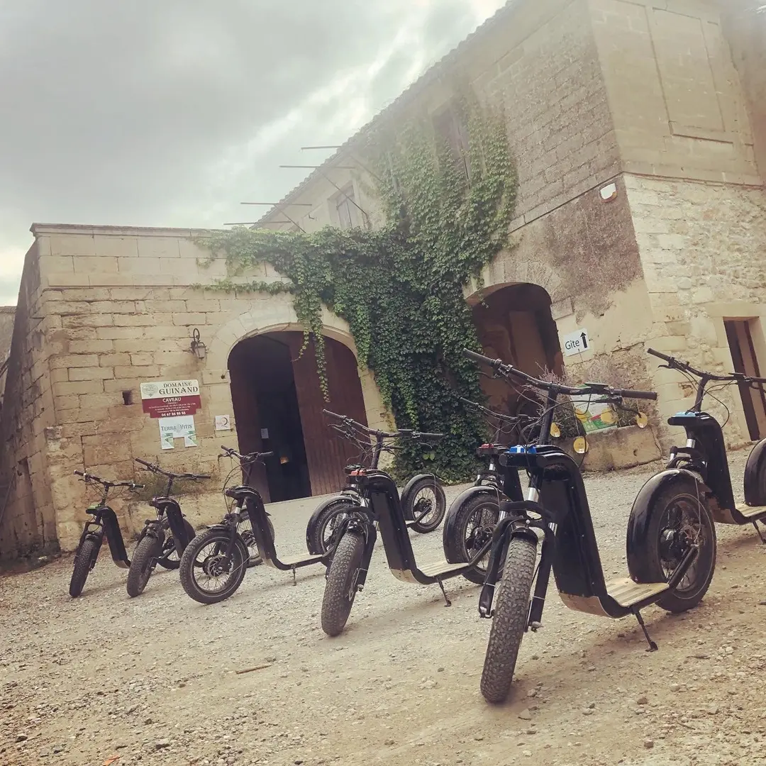 DOMAINE GUINAND - OENO TOUR GUIDE EN TROTINETTE ELECTRIQUE