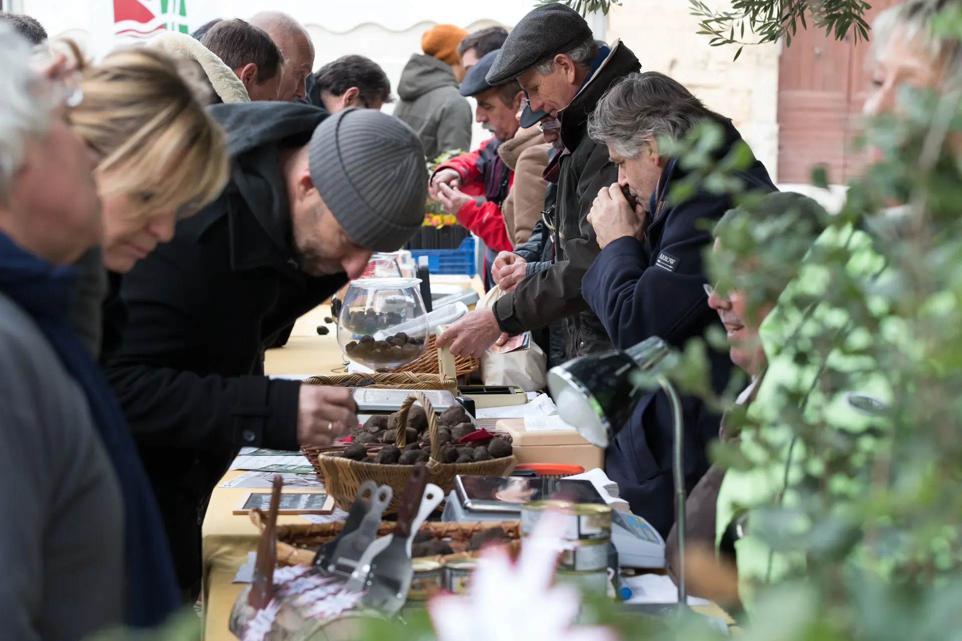 TRUFFE_2018fete de la truffe  ©Ch.RuizMontpellier3m