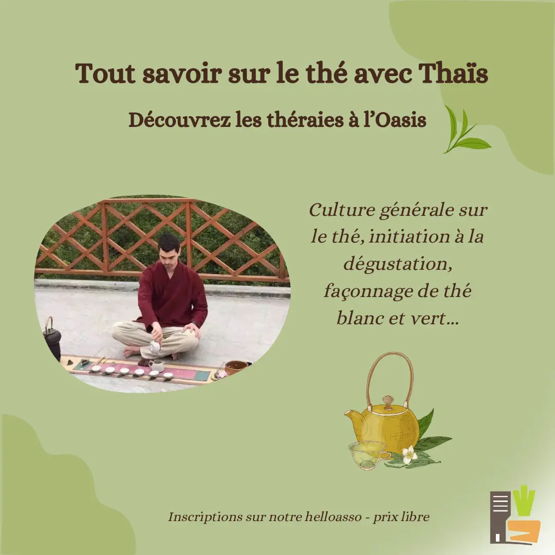 Tout connaître sur le thé avec Thaïs (Publication Instagram) - 2