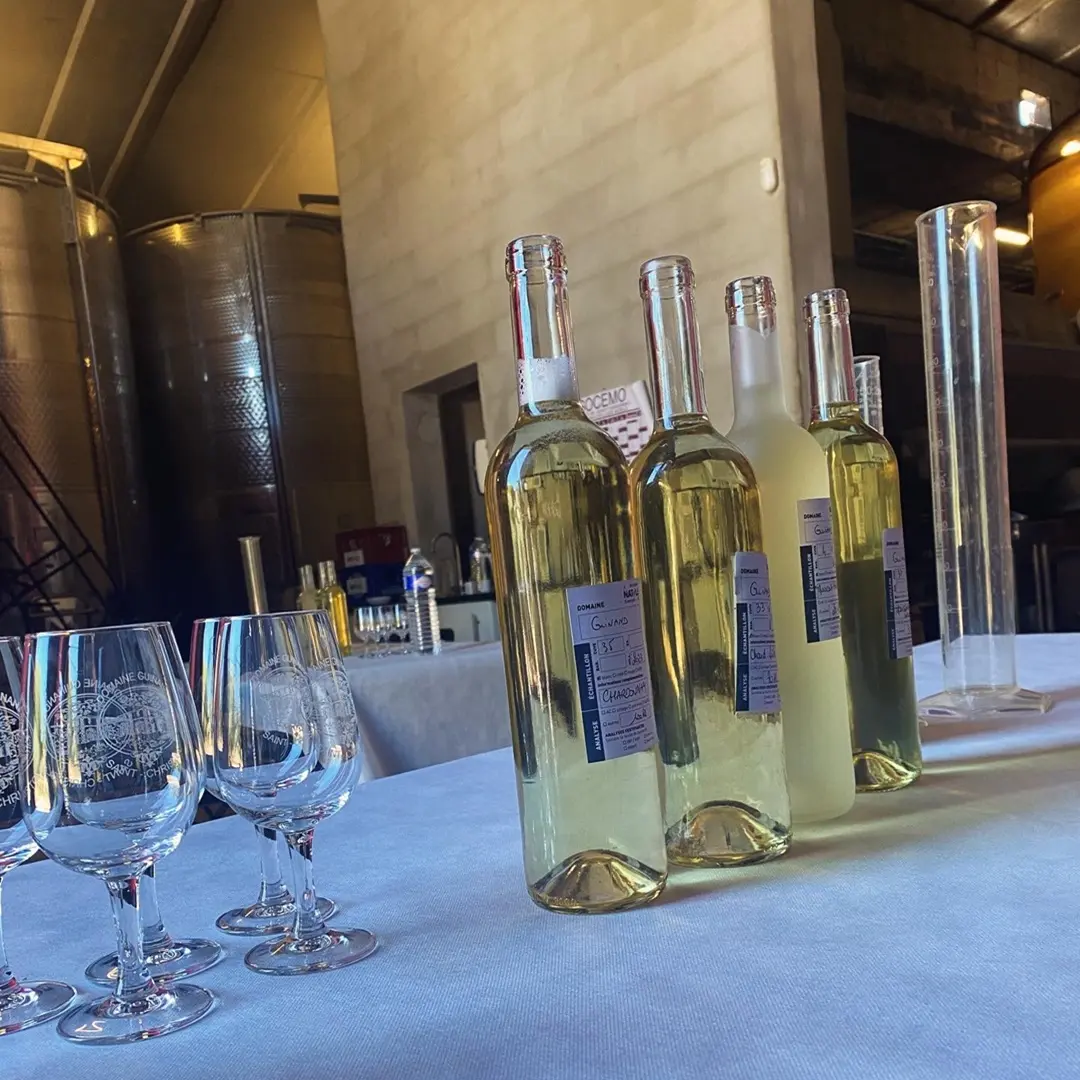 DOMAINE GUINAND - ATELIER ASSEMBLAGE