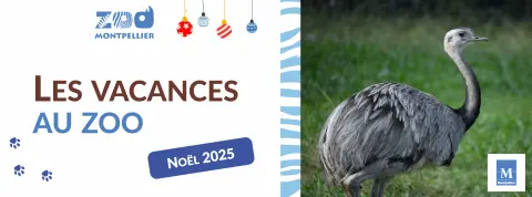 banniere_comm_decembre_2025