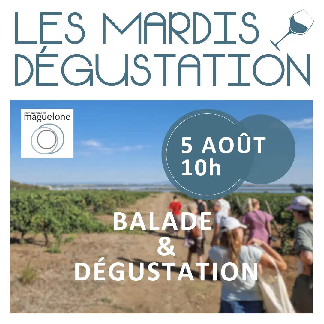 carré  mardi dégust été 2025  (Publication Instagram) - propa 1