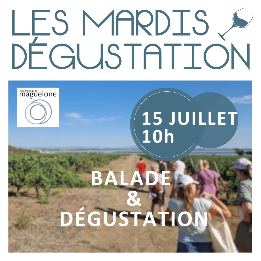 carré  mardi dégust été 2025  (Publication Instagram) - propa 1 (3)