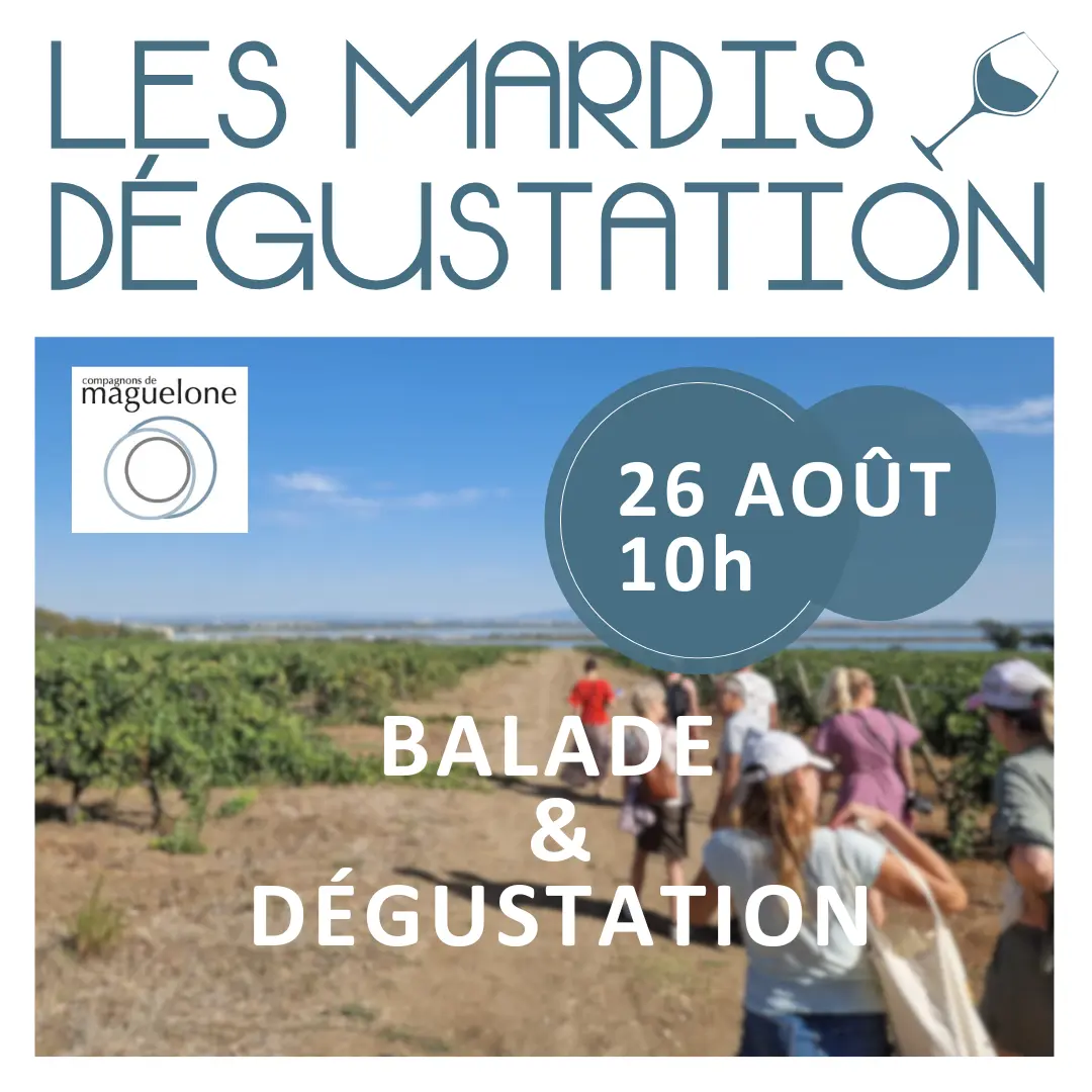carré  mardi dégust été 2025  (Publication Instagram) - propa 1 (4)