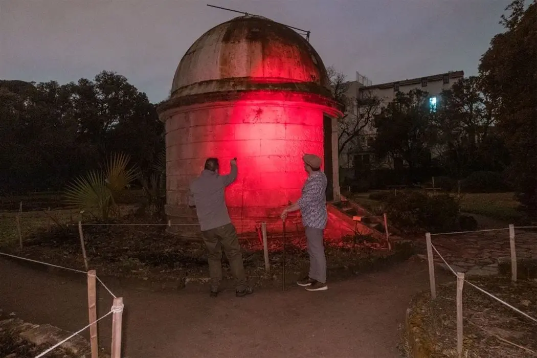 ECHAPPÉE NOCTURNE AU JARDIN DES PLANTES SPÉCIAL NOËL