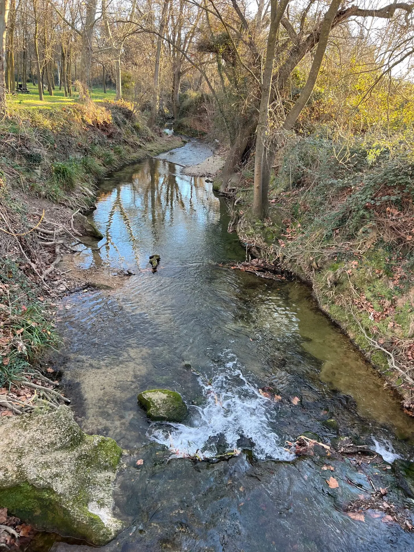 image10-rotated