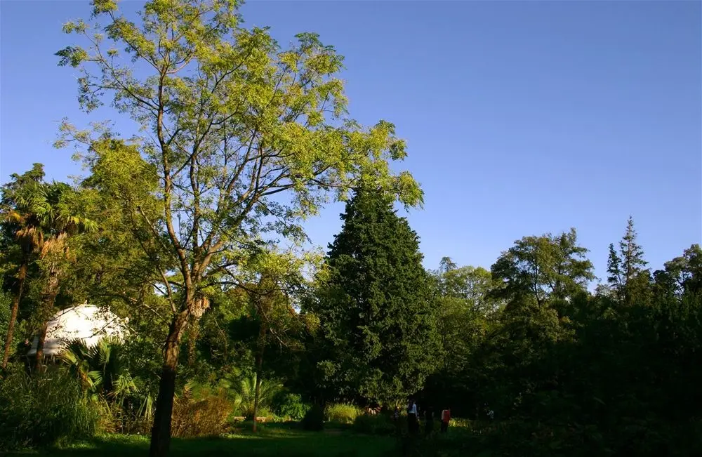 jardin de la reine