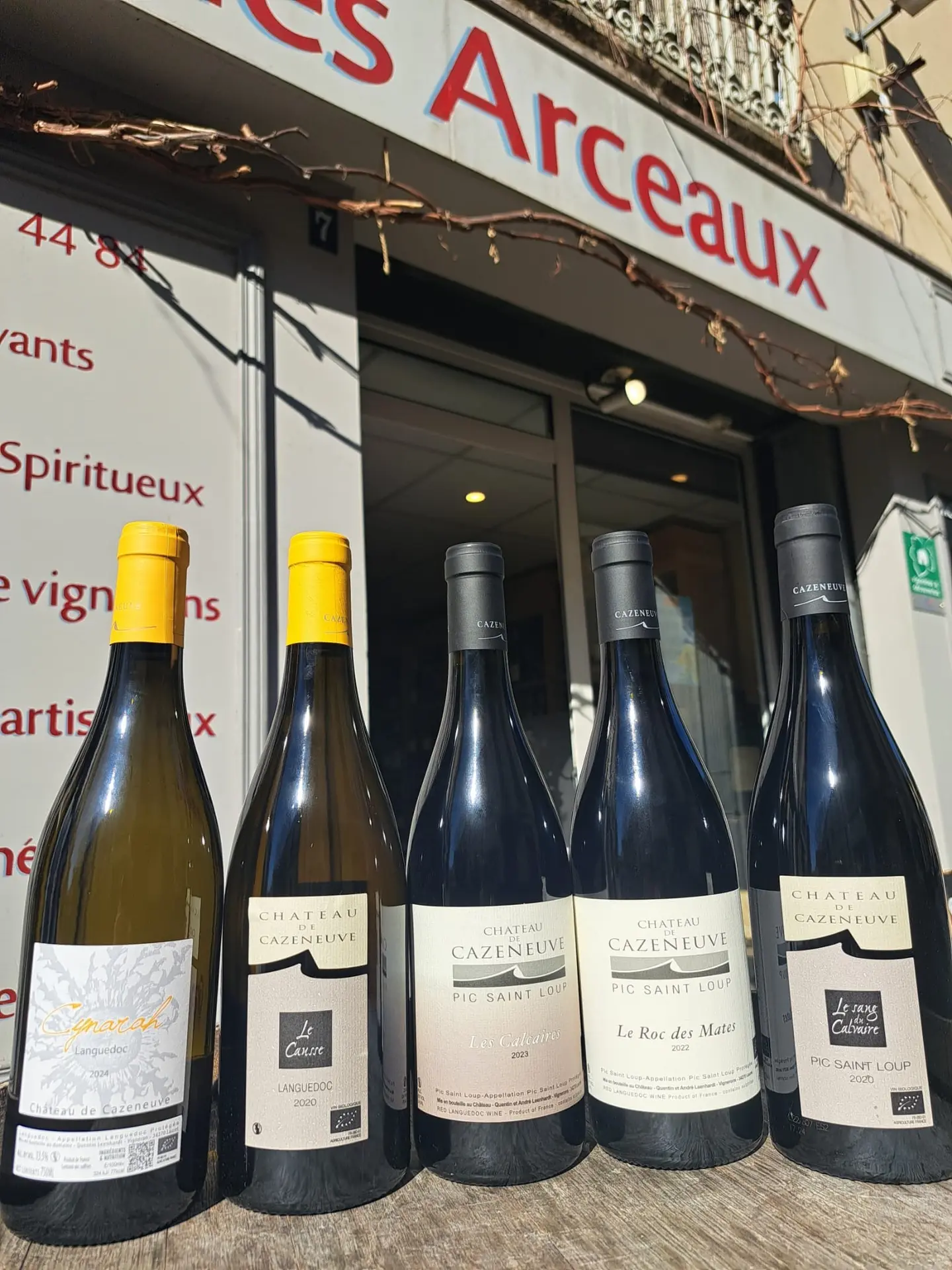 Château de Cazeneuve