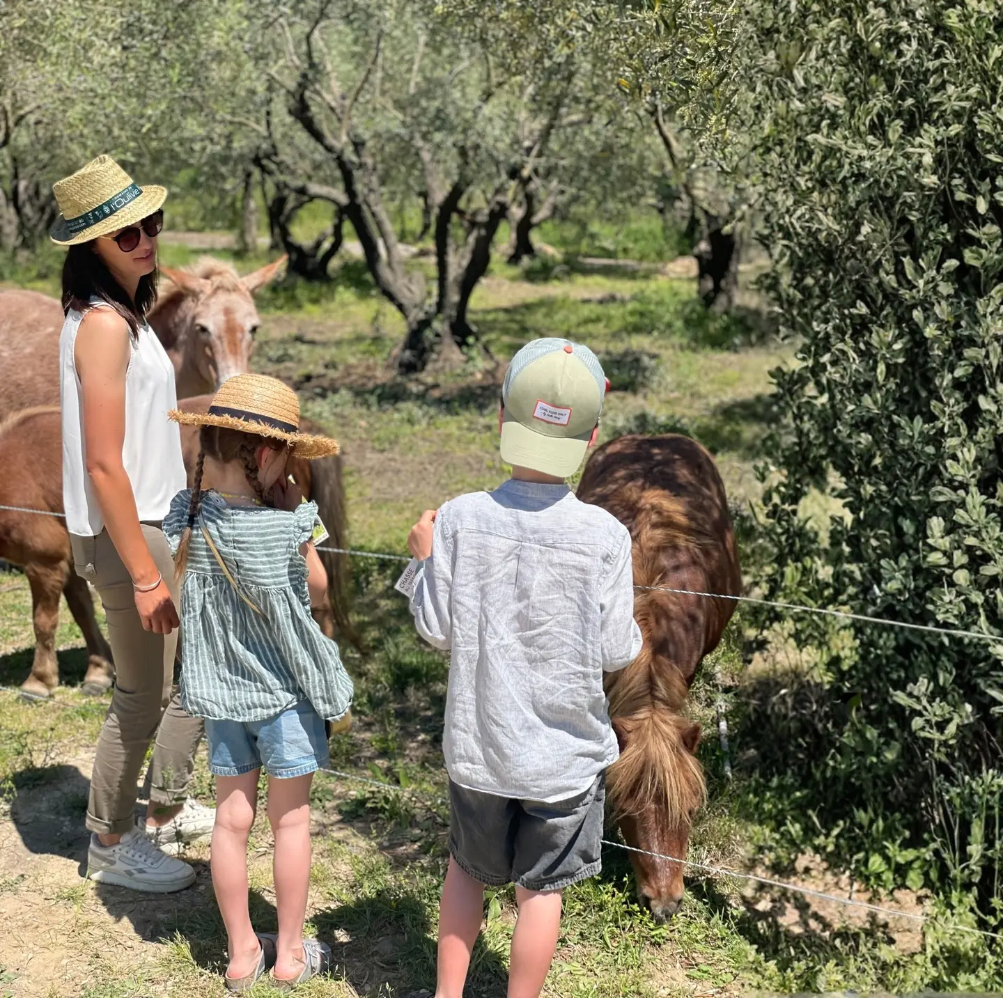sur le sentier de bebelle