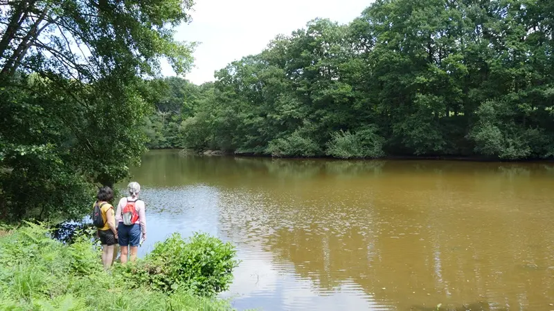 Parc de La Higourdais
