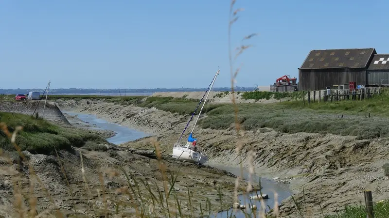 Port du Vivier