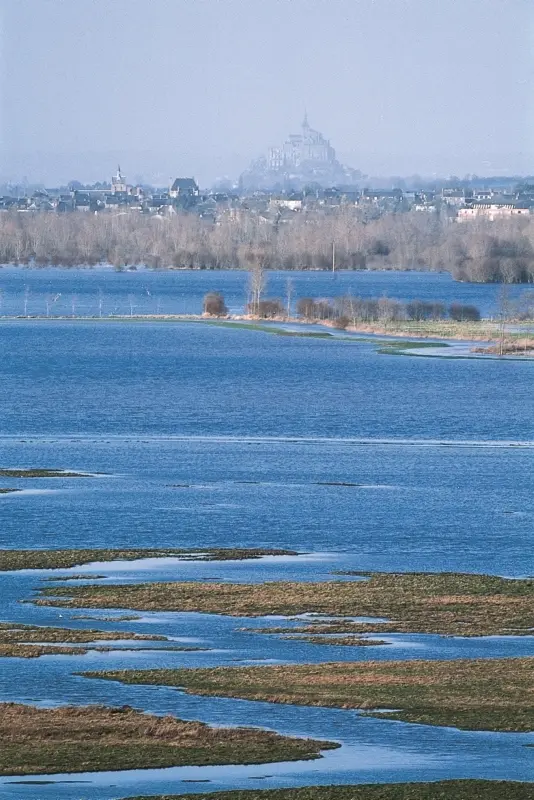 ©CdC Pays de Dol BMSM - Marais de Sougeal