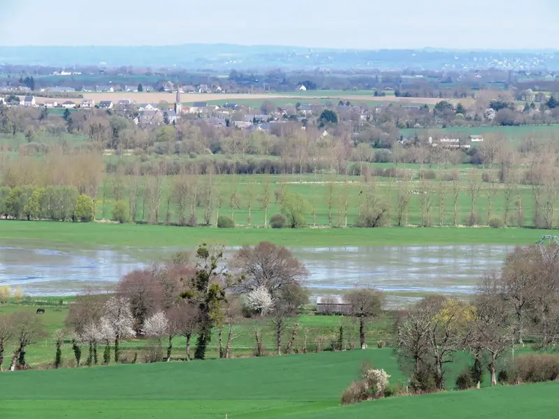 Marais de Sougeal vu du clocher
