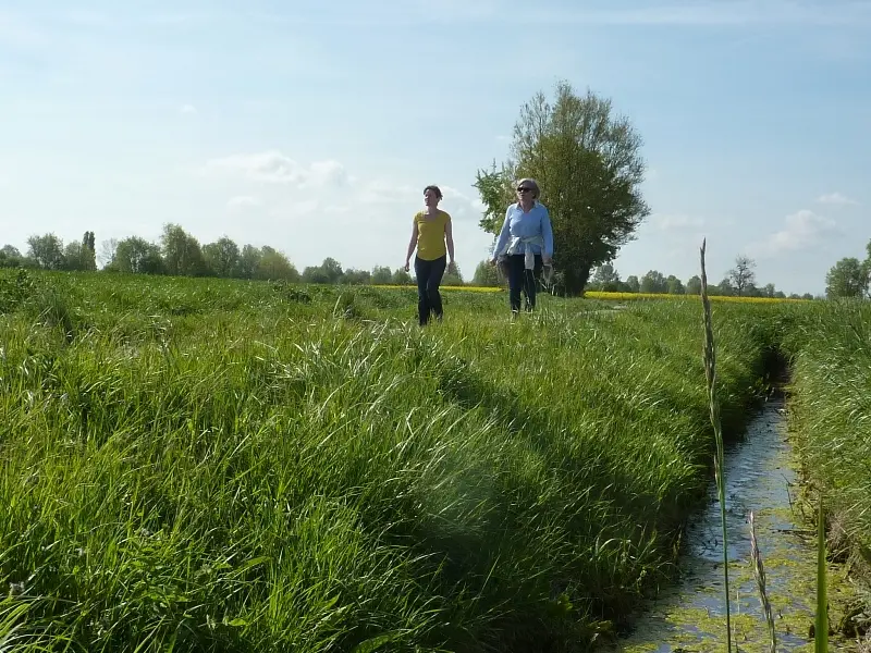 ©SMBMSM Marais blanc La Fresnais