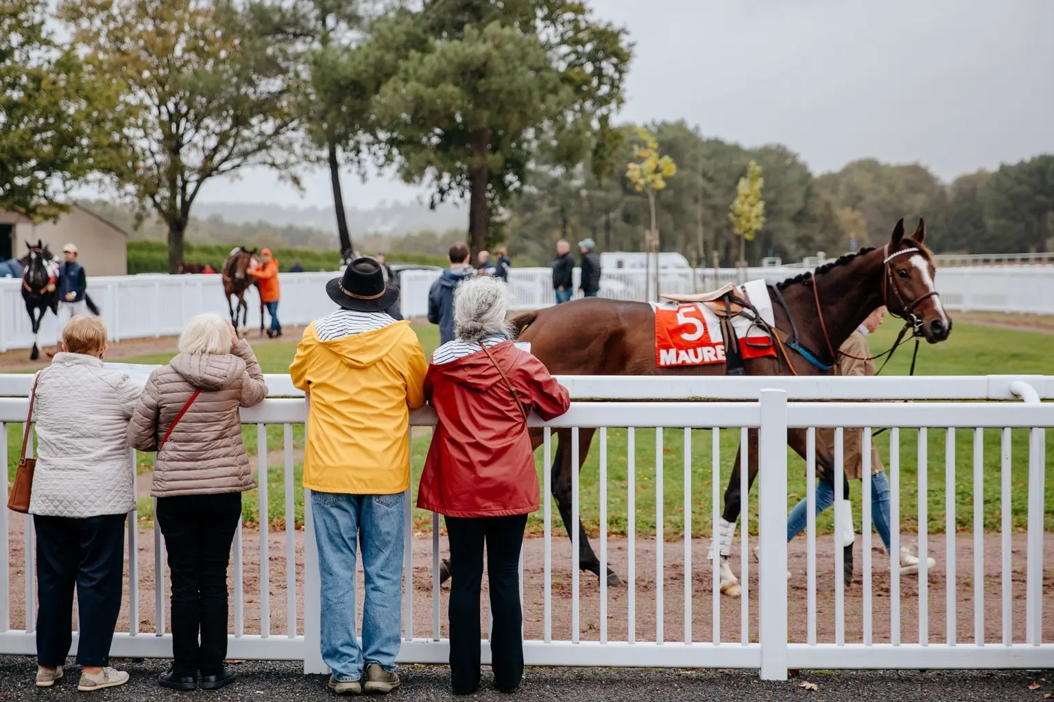 Course de trot