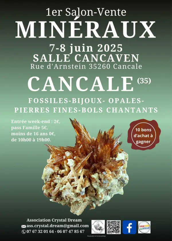 1ere-edition-du-salon-vente-de-mineraux-fossiles-bijoux