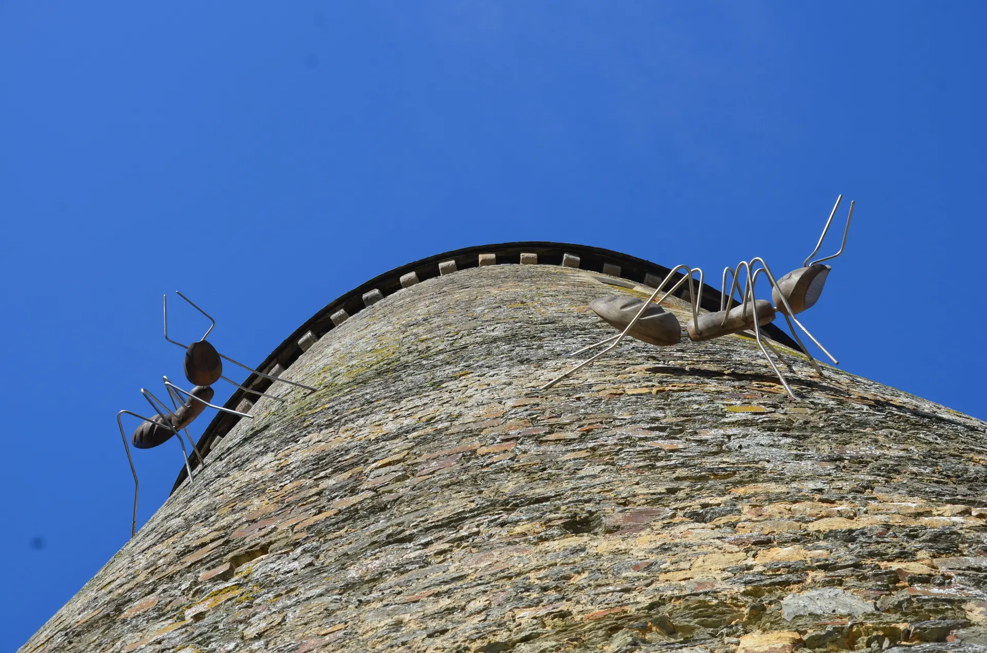 Les fourmis - Marc Georgeault