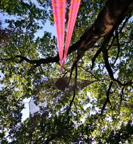 tête dans l'air