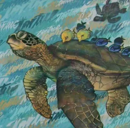 tortue du safari