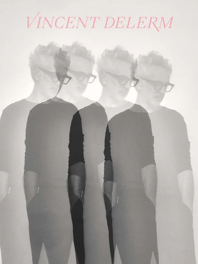 Affiche Vincent Delerm