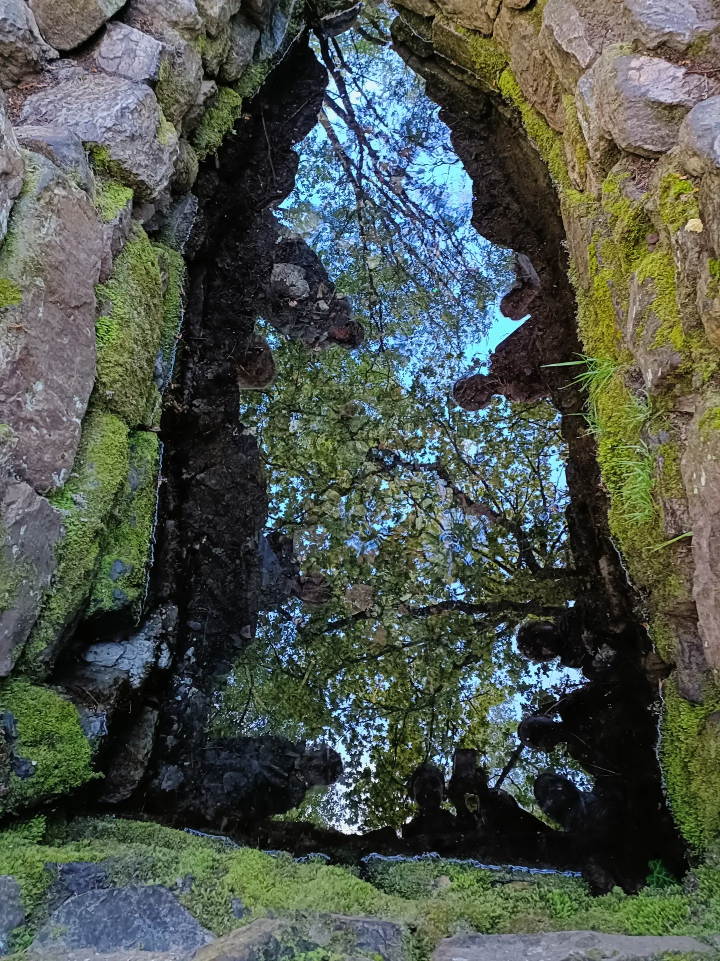 Barenton aux Portes de l'Autre Monde