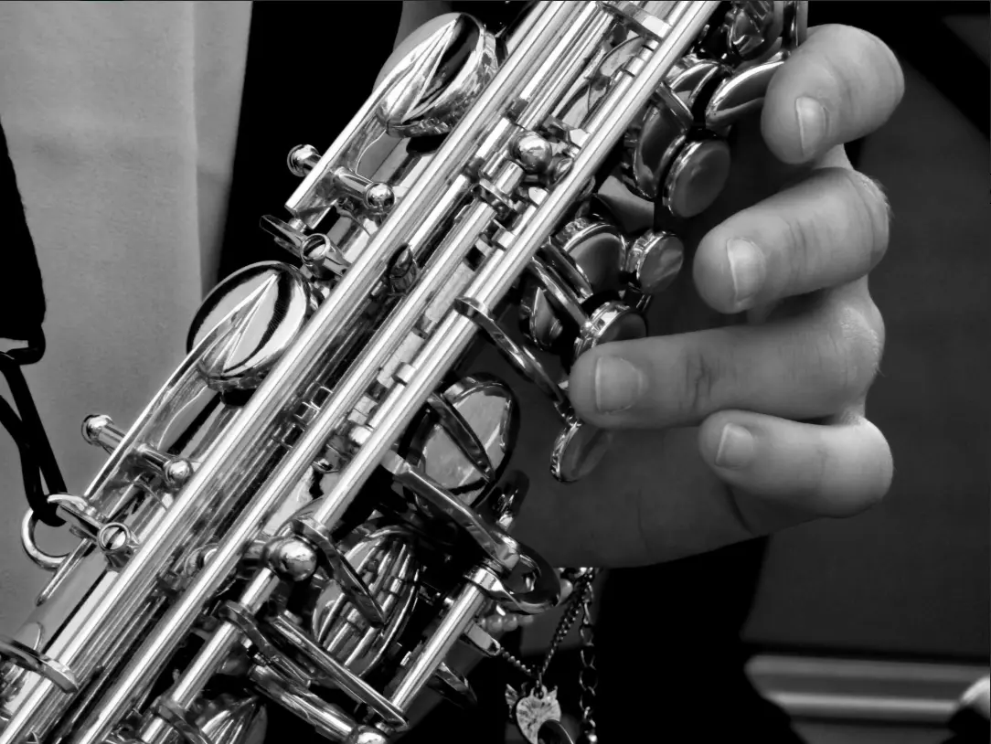 Concert musique