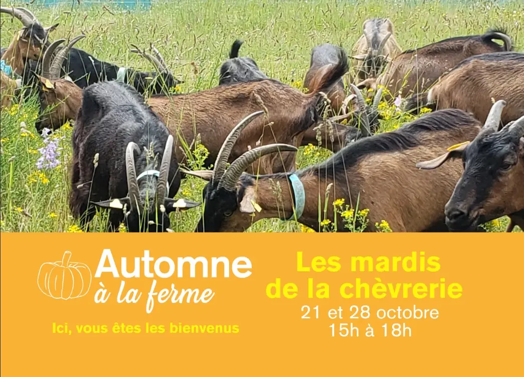 Automne à la ferme
