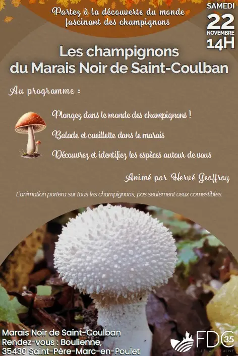 Capture d’écran 2025-10-29 140748